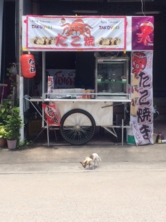 たこ焼き2.jpeg