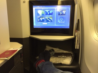 JAL Bu01.JPG