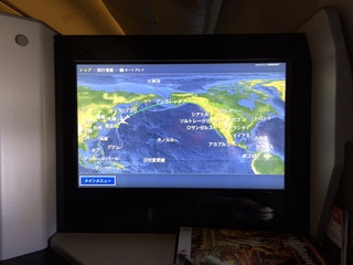 JAL Bu06.JPG