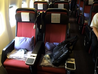 JAL P_eco01.JPG