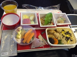 JAL P_eco02.JPG