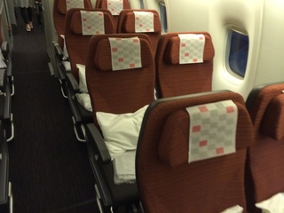 JAL eco_01.JPG